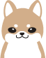 柴ちゃん