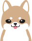 柴ちゃん